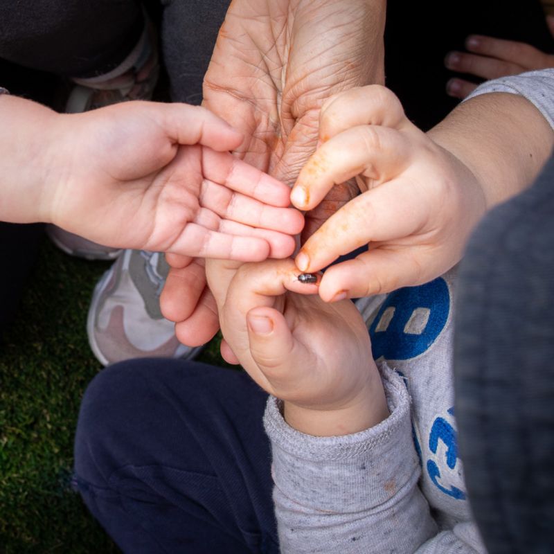 The Front Project responds to the Federal Budget 2023-24