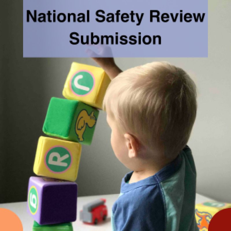 National Child Safety Review Submission